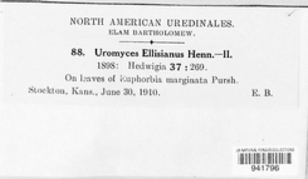 Uromyces ellisianus image